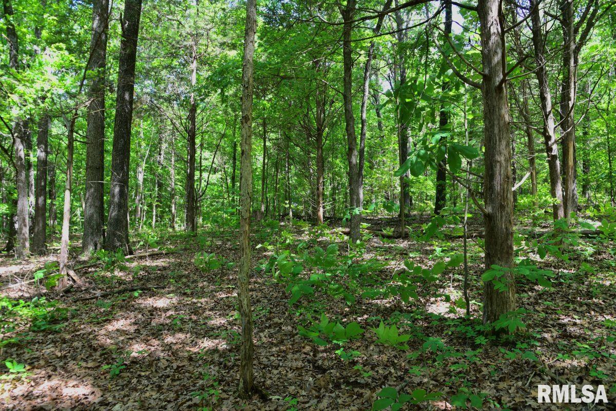 001 Robinson Hill Road, Stonefort, Illinois image 17