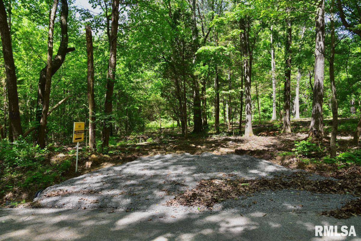 001 Robinson Hill Road, Stonefort, Illinois image 30