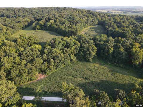 Vacant Land For Sale - 30079 Ambrosia Hollow Road<br/> Pike County, Rockport, IL 62370
