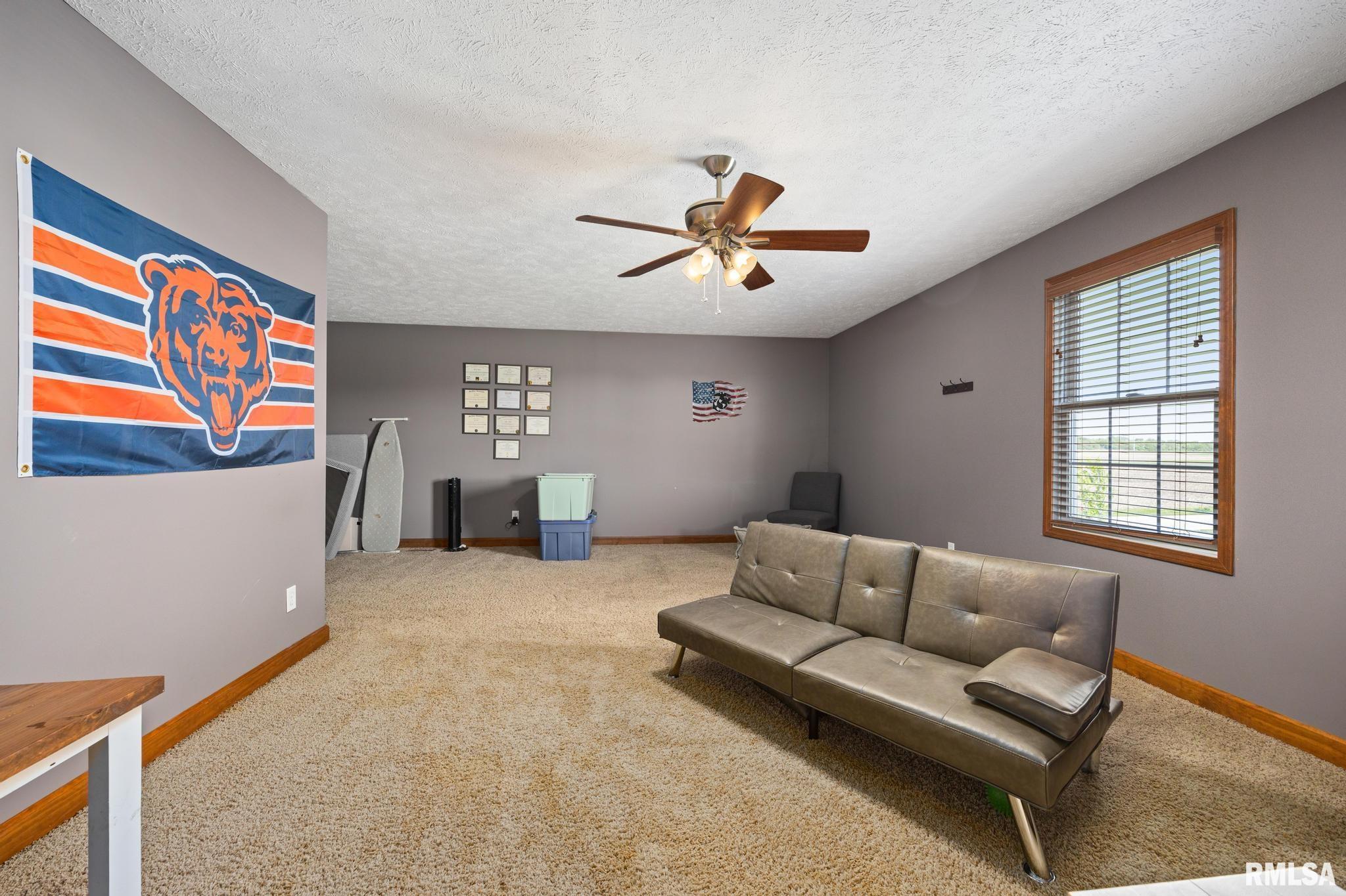 1101 N Pine Street, El Paso, Illinois image 45