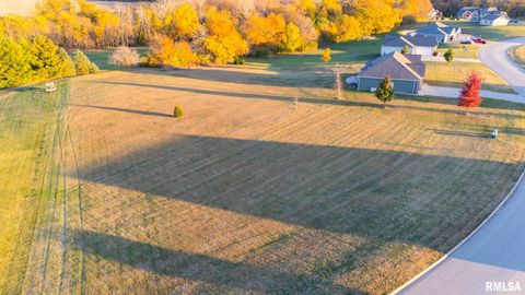 Vacant Land For Sale - 116 Lost Creek Court<br/> Tazewell County, Pekin, IL 61554