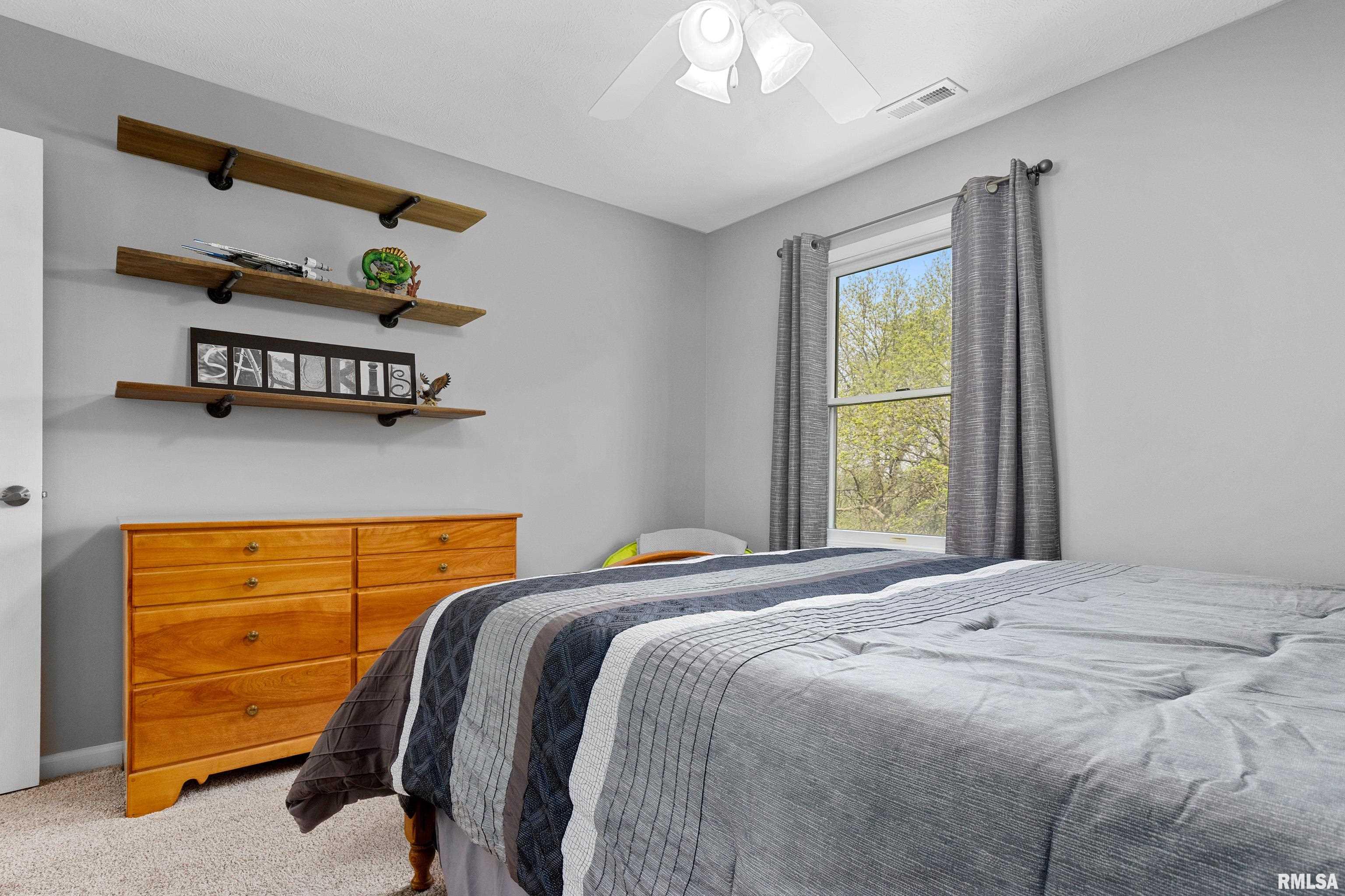 11720 N Brians Way, Dunlap, Illinois image 33