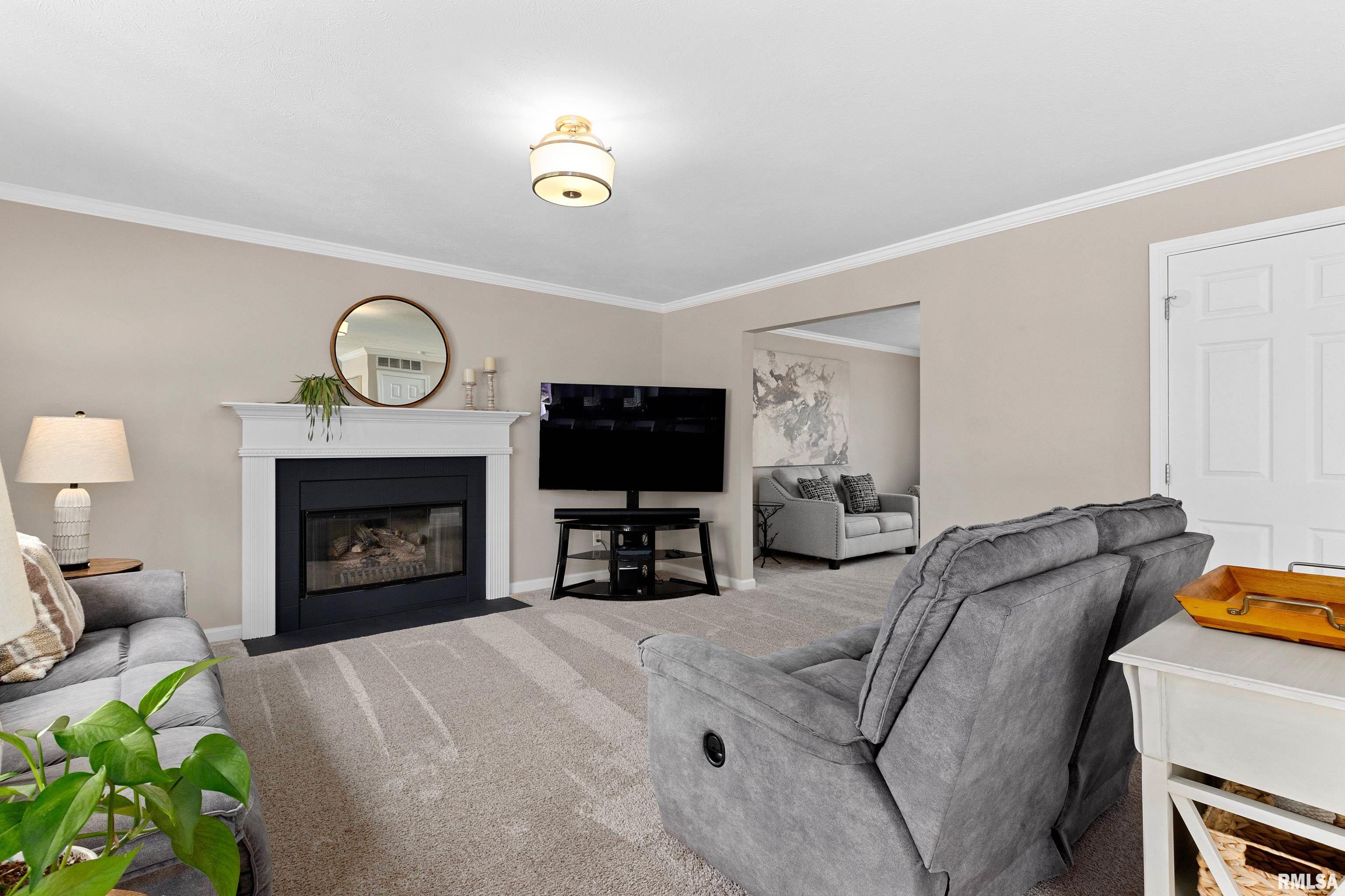 11720 N Brians Way, Dunlap, Illinois image 13