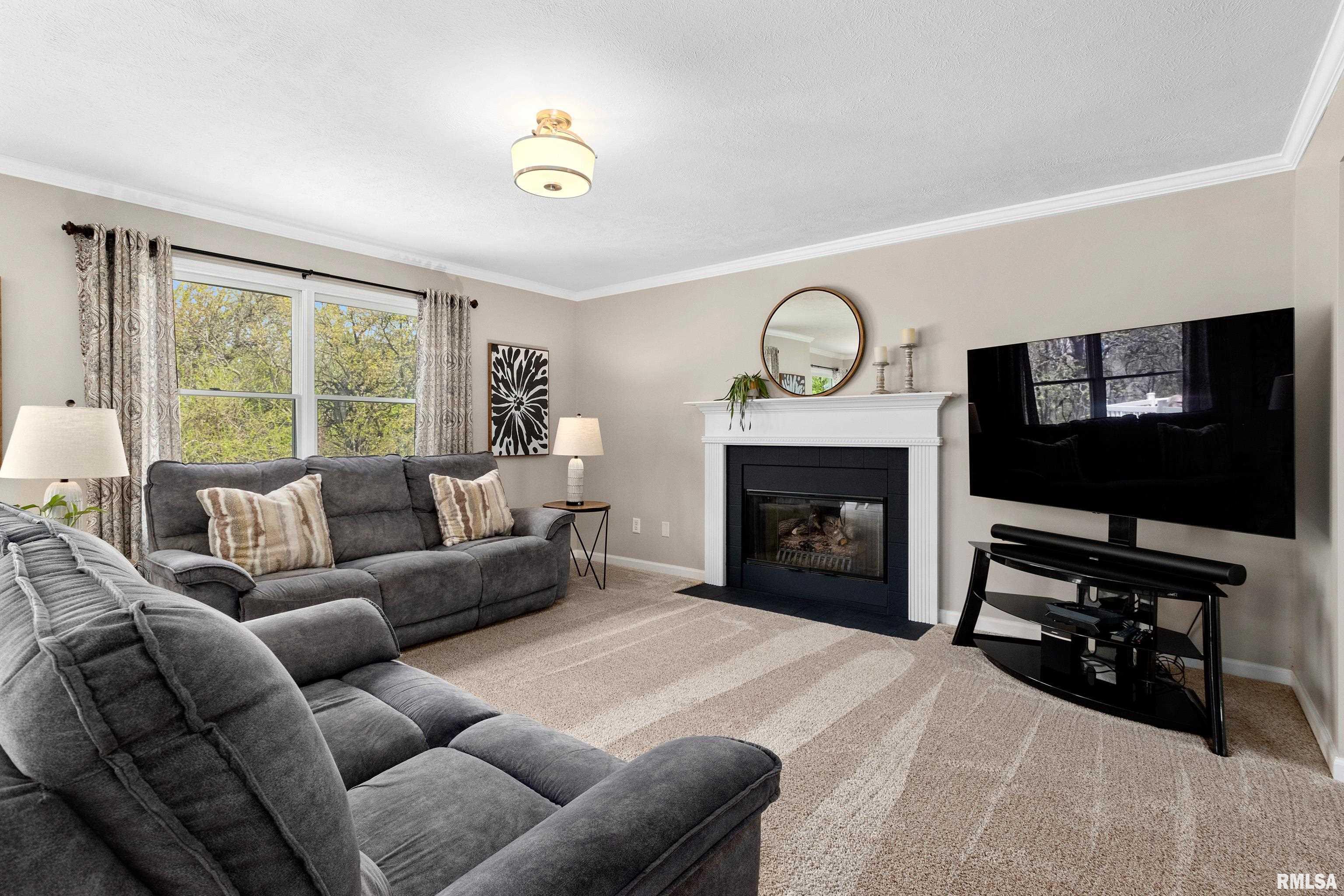 11720 N Brians Way, Dunlap, Illinois image 14