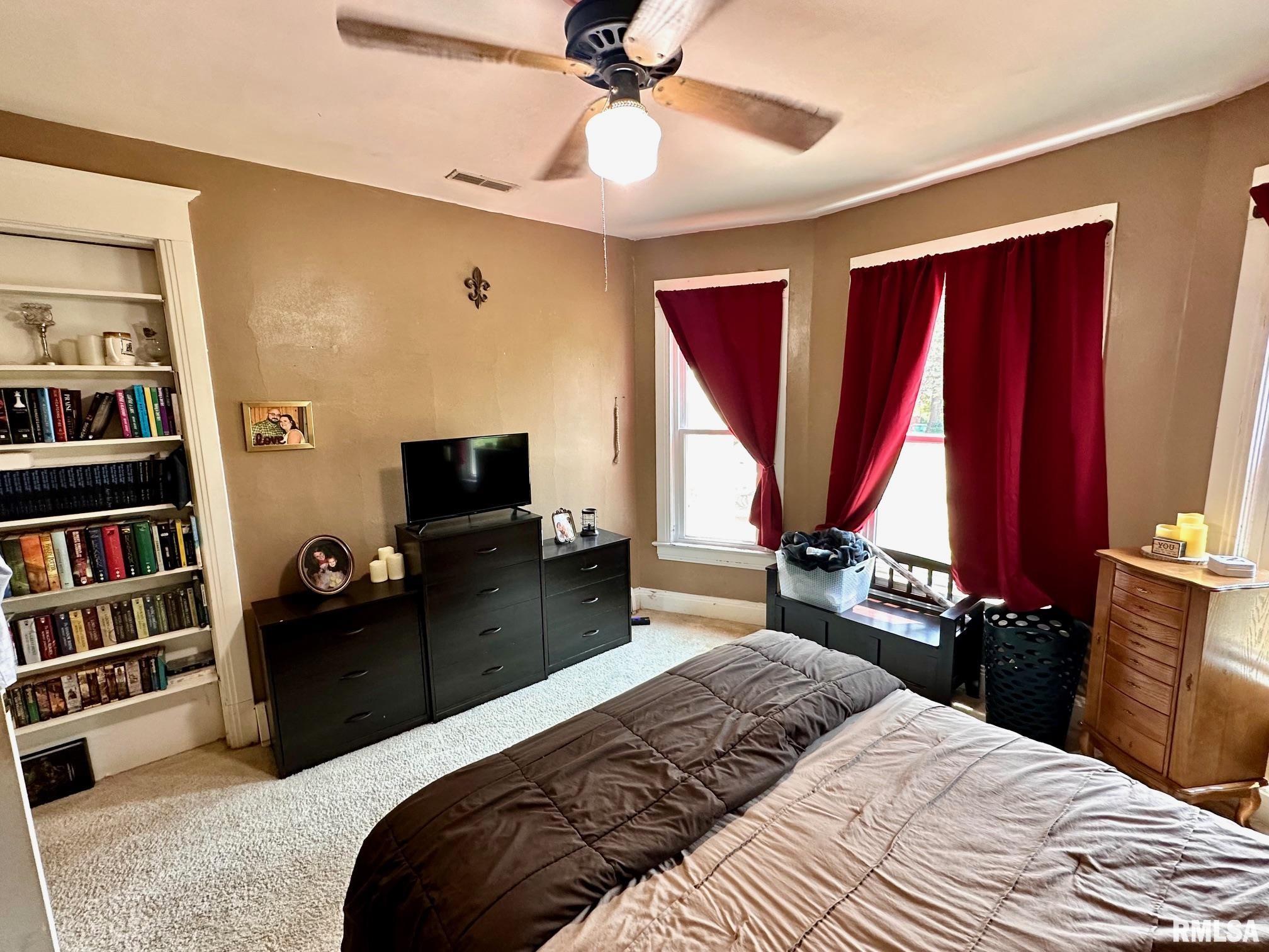 439 W Vine Street, Springfield, Illinois image 10