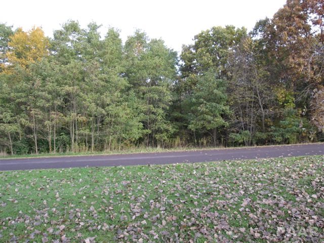 Lot 1 Schmitt Lane, Edwards, Illinois image 1