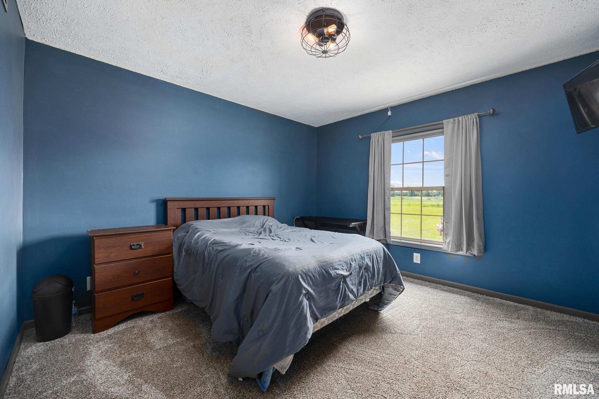 15500 Christmas Tree Road, Green Valley, Illinois image 18