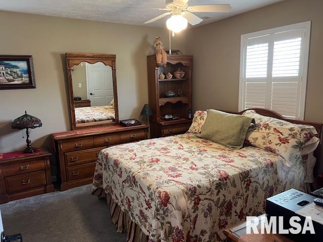 1607 Marion Street, Carterville, Illinois image 19