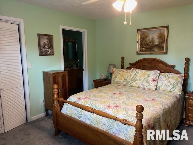 1607 Marion Street, Carterville, Illinois image 13