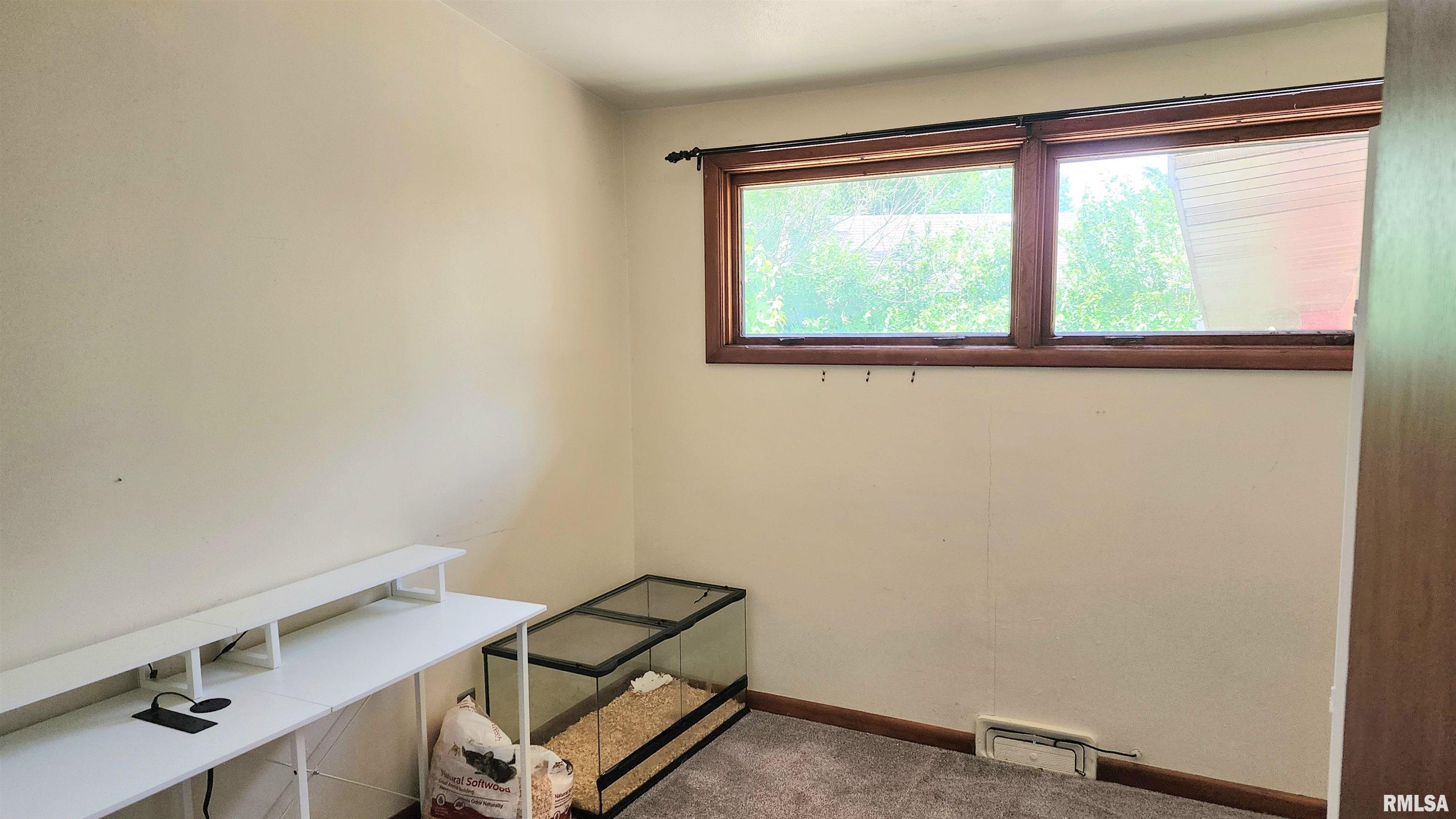 502 S Dixon Street, Carbondale, Illinois image 9