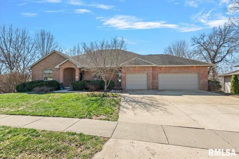 Homes For Sale - 8 Riverwood Drive<br/> Sangamon County, Rochester, IL 62563