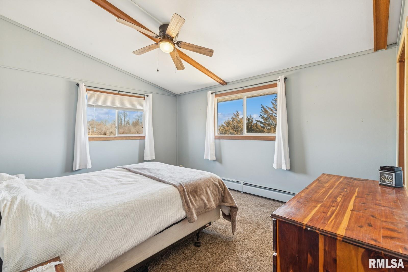 944 45th Street, New Boston, Illinois image 11