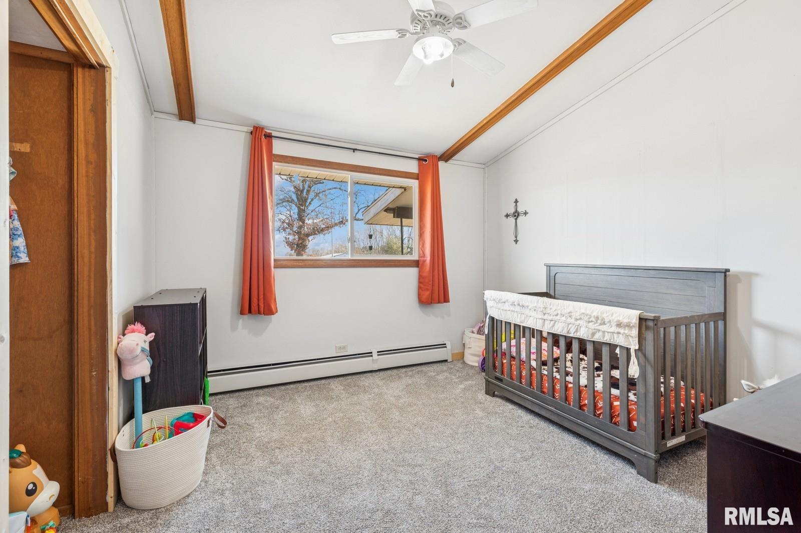 944 45th Street, New Boston, Illinois image 14
