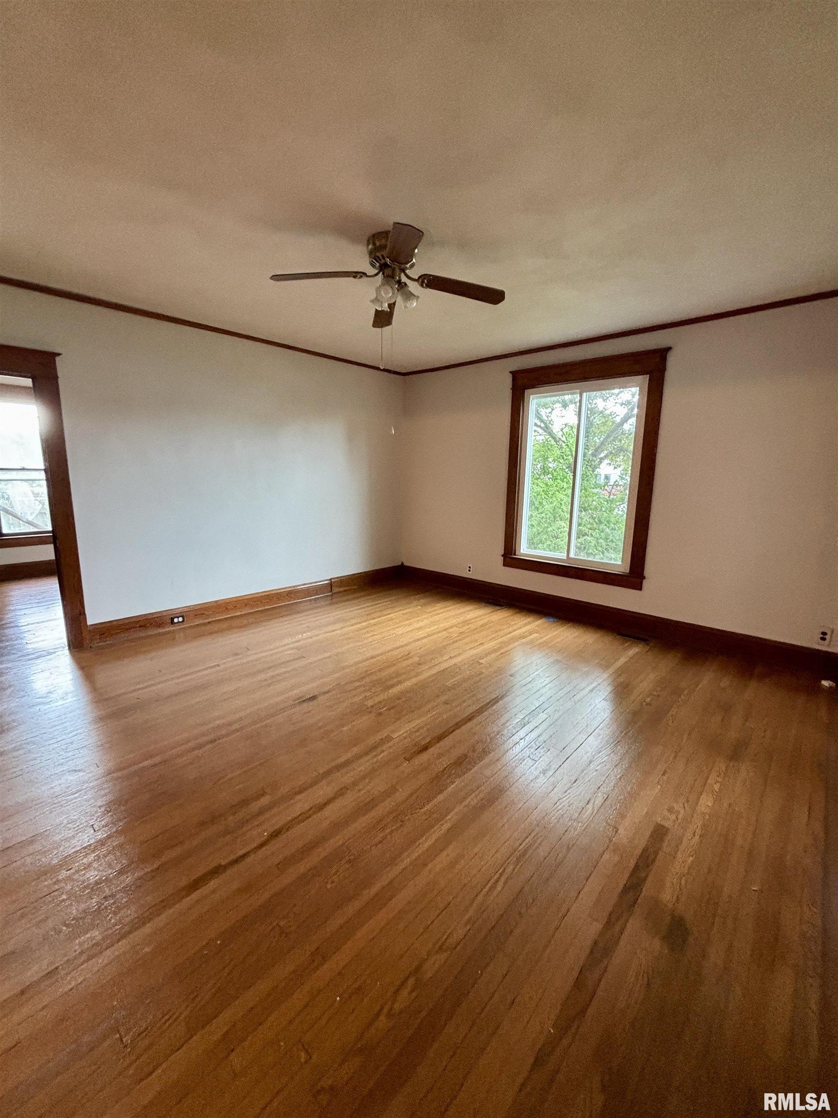 201 S Pearl Street, Waverly, Illinois image 16