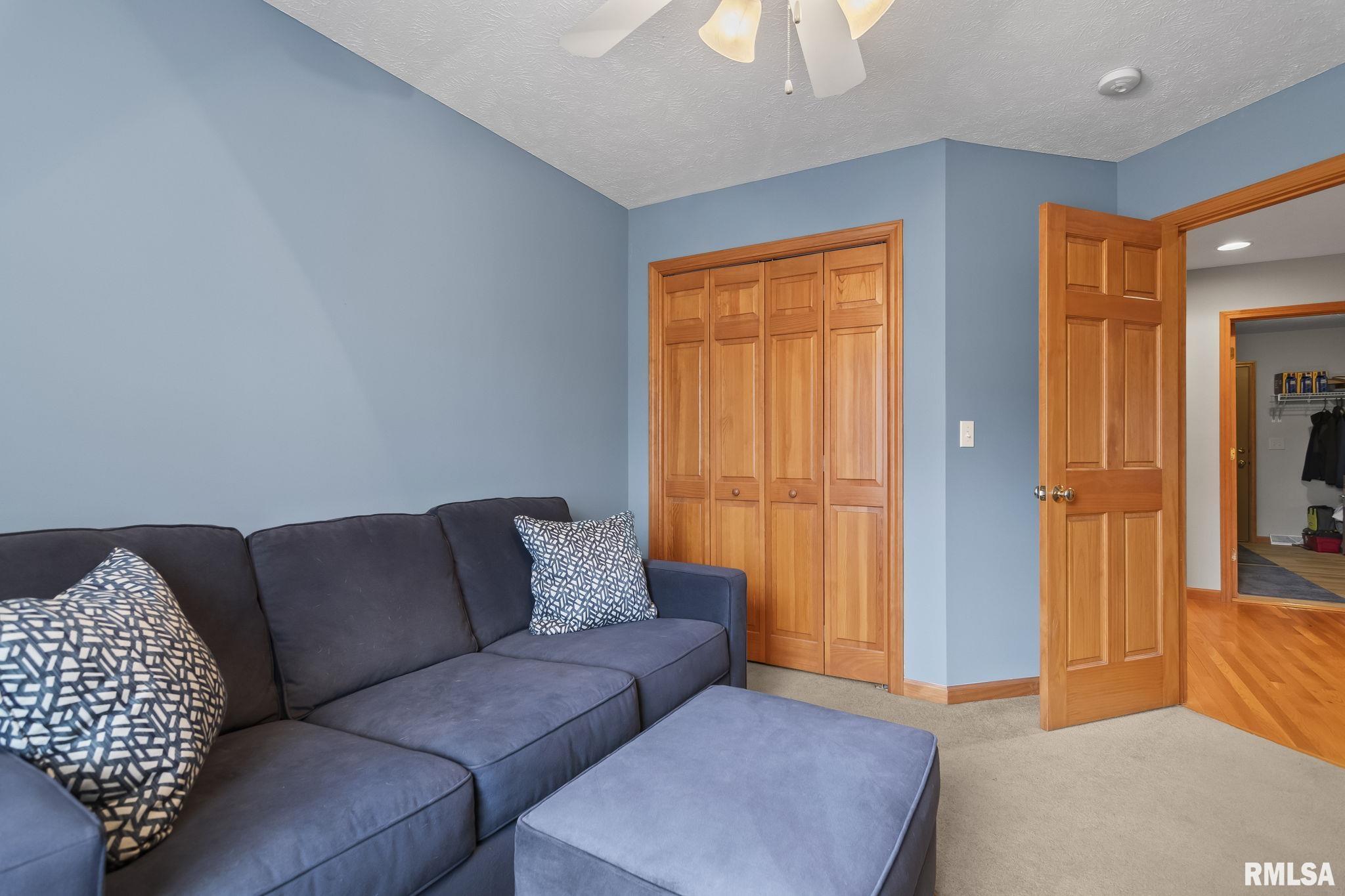 205 Winter Park Drive, Chatham, Illinois image 23