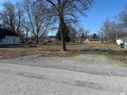 N 6TH ST, ELKVILLE, IL 62932 - Image 84ad0973601f8a82ac2ca25fb5ea142a/600711397