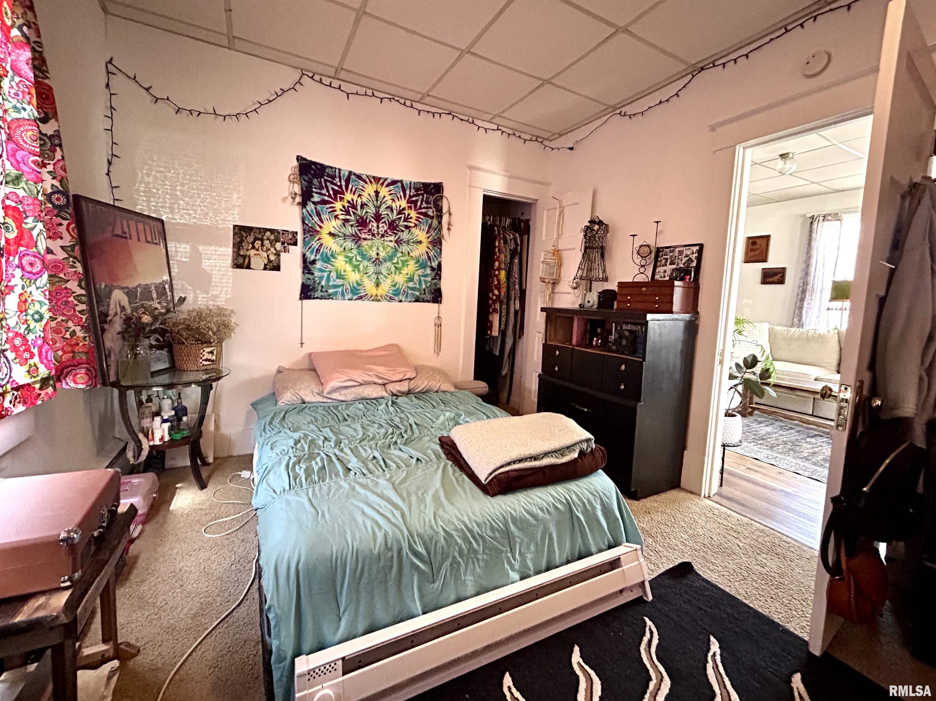 912 W Mill Street, Carbondale, Illinois image 15