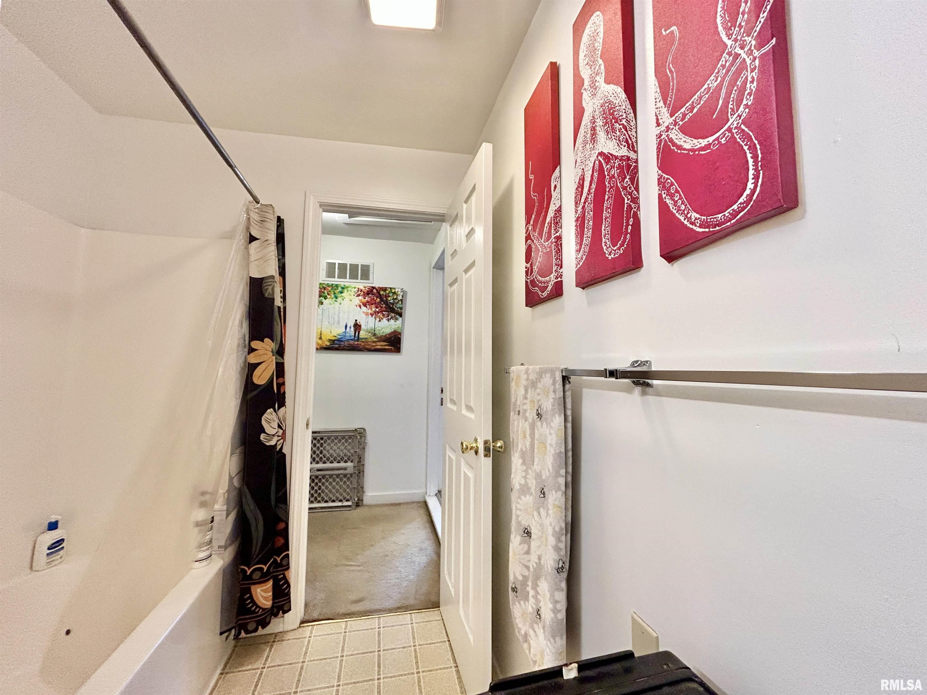 912 W Mill Street, Carbondale, Illinois image 11