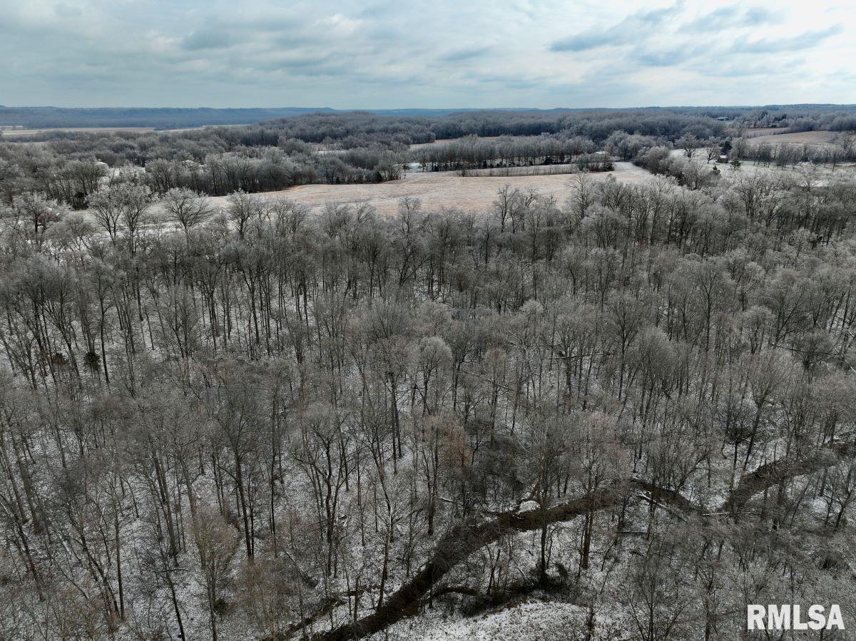 000 Macedonia Road, Golconda, Illinois image 35