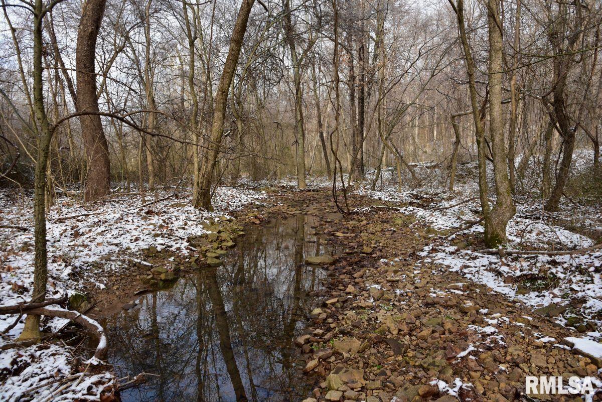 000 Macedonia Road, Golconda, Illinois image 31