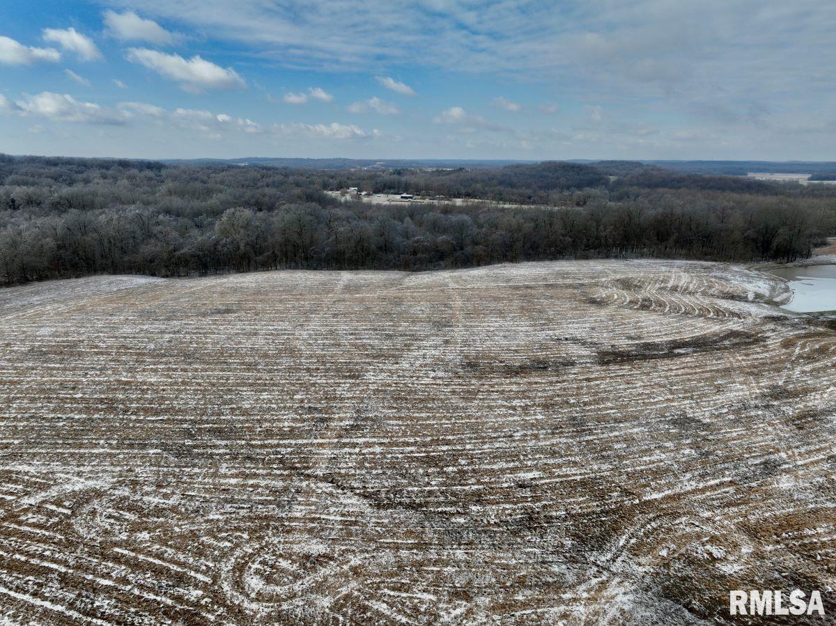 000 Macedonia Road, Golconda, Illinois image 17