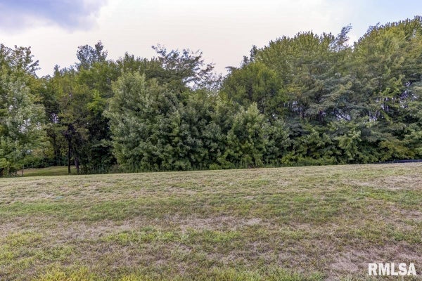 401 RAMBLEWOOD RD, CHATHAM, IL 62629 - Image 85ffb7e9016b8b3b3b8eb4349d35ea96/1053788337