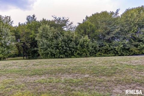 Vacant Land For Sale - 401 Ramblewood Road<br/> Chatham, IL 62629