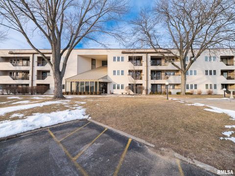 Condo For Sale - 2601 W Willowlake Drive #20<br/> Peoria County, Peoria, IL 61614
