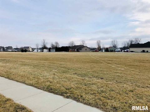 Vacant Land For Sale - LOT 40 Fairground Drive<br/> Elmwood, IL 61529