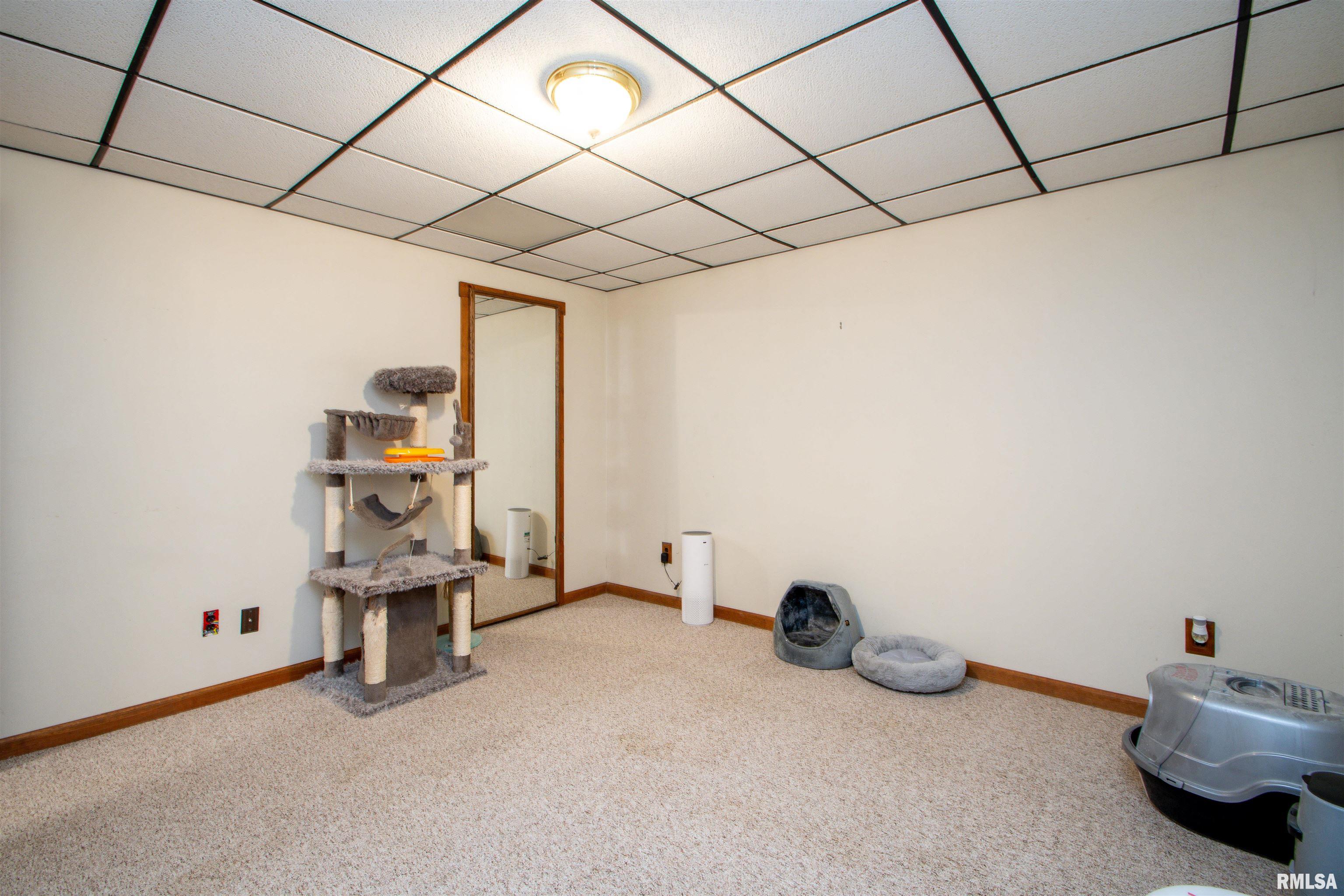 2706 S Skyway Road, Peoria, Illinois image 27