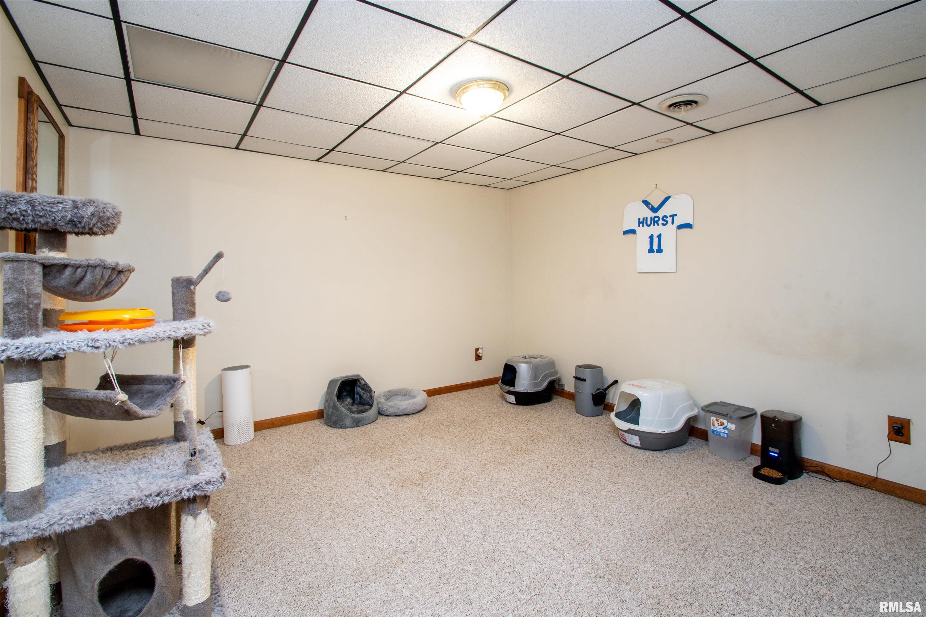 2706 S Skyway Road, Peoria, Illinois image 26
