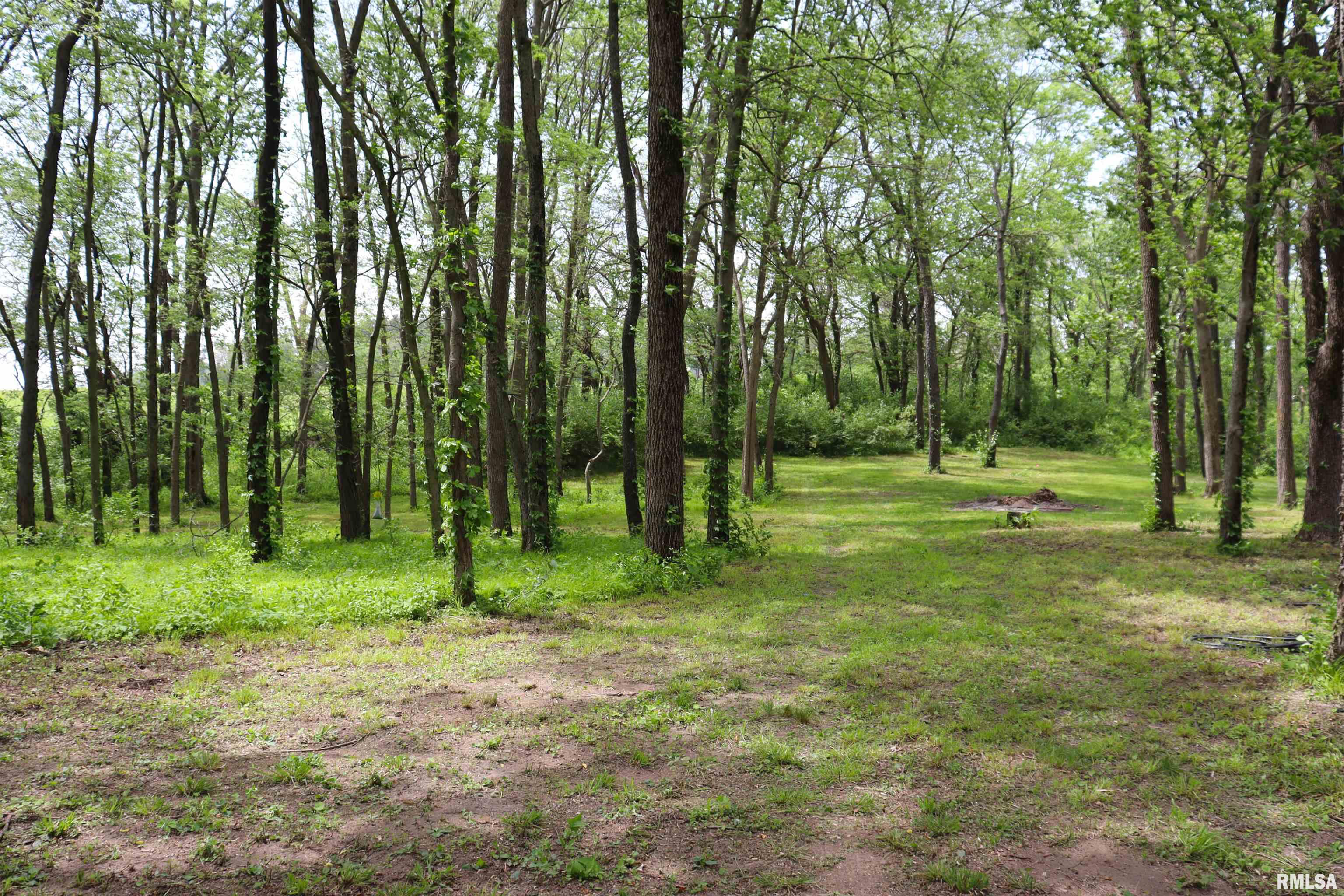 6245 Bass Road, Manito, Illinois image 3