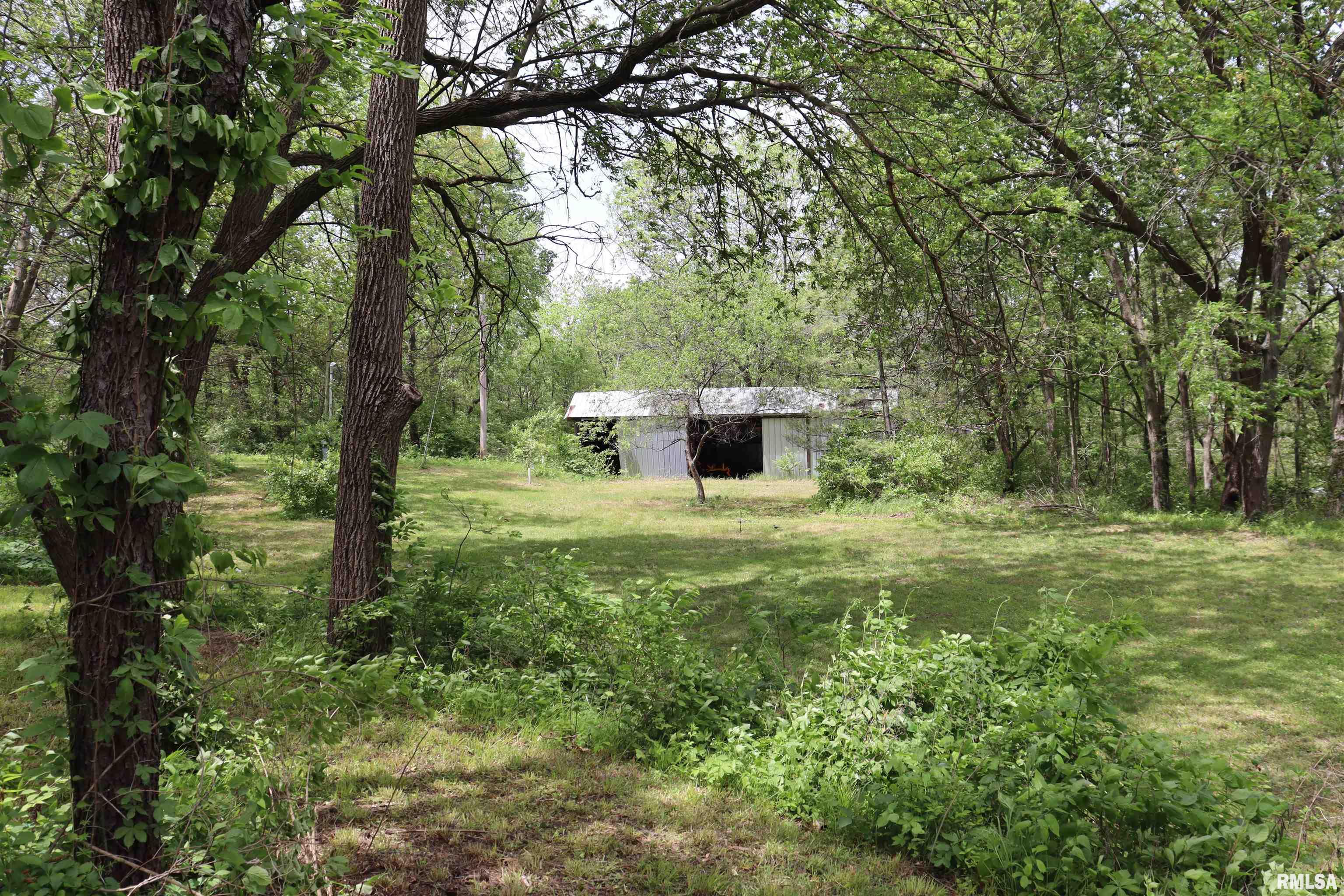 6245 Bass Road, Manito, Illinois image 41