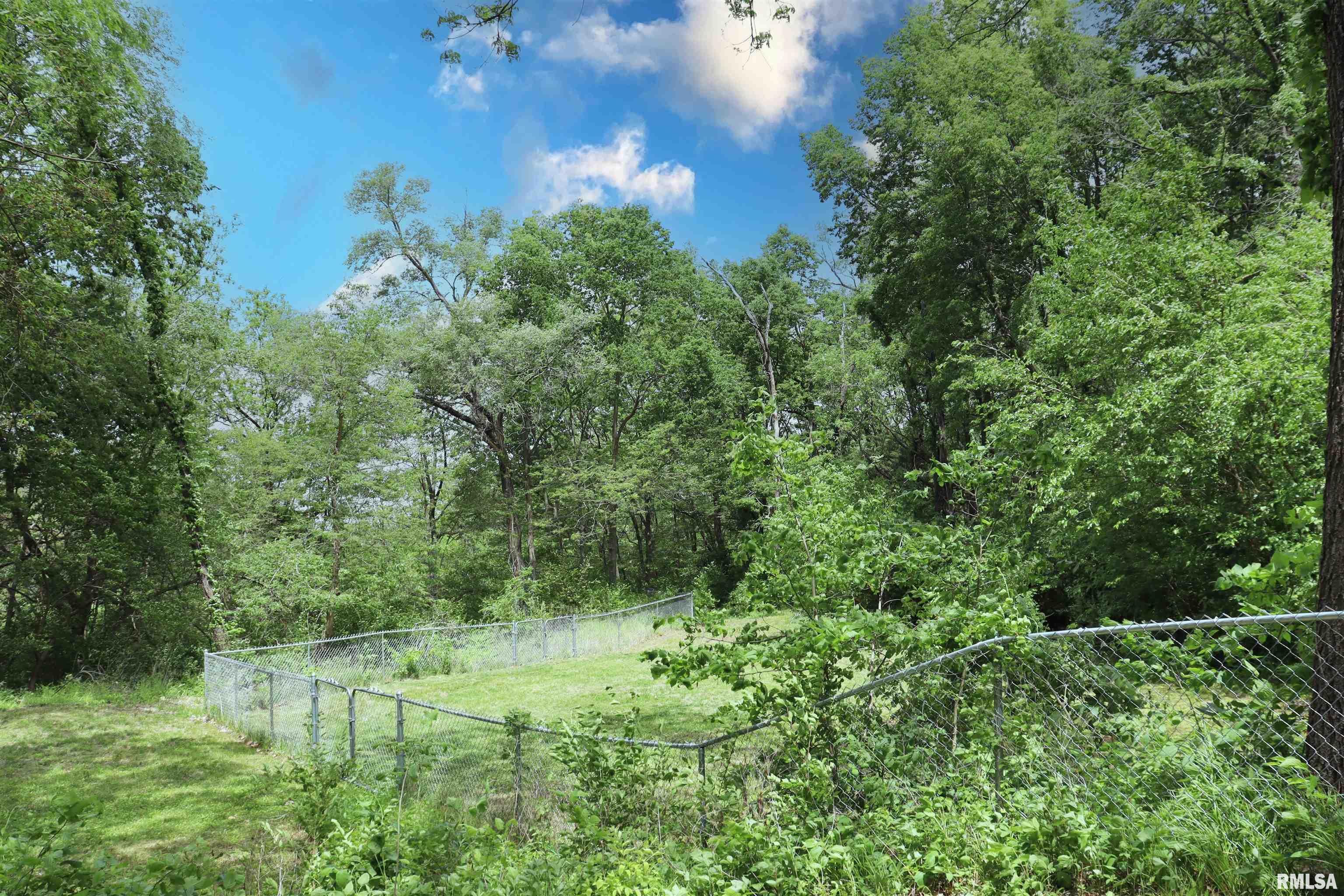 6245 Bass Road, Manito, Illinois image 42