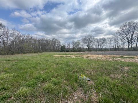 Vacant Land For Sale - 900 Old Route 146 Loop<br/> Vienna, IL 62995