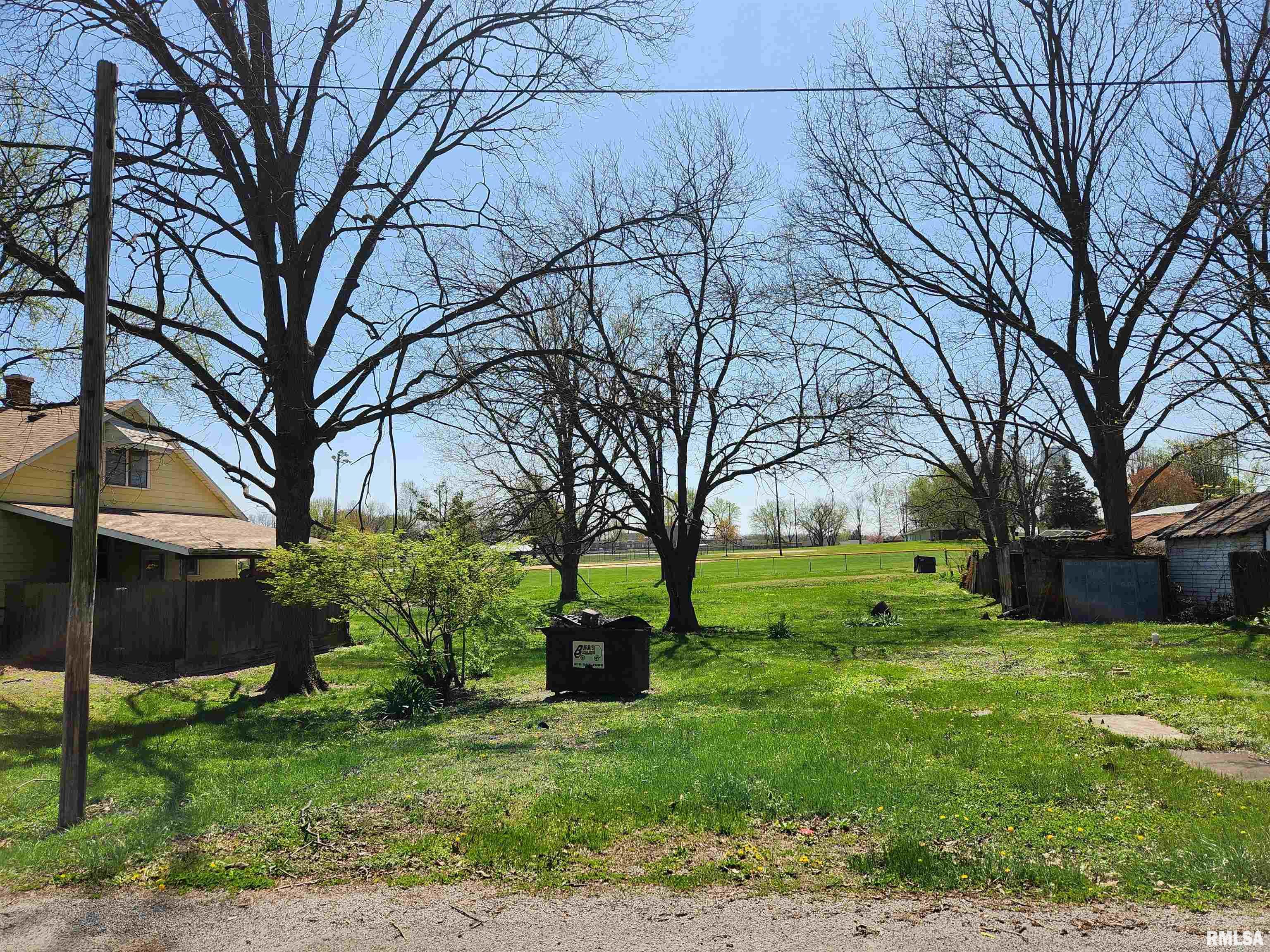 208 E Davis Street, Ava, Illinois image 31