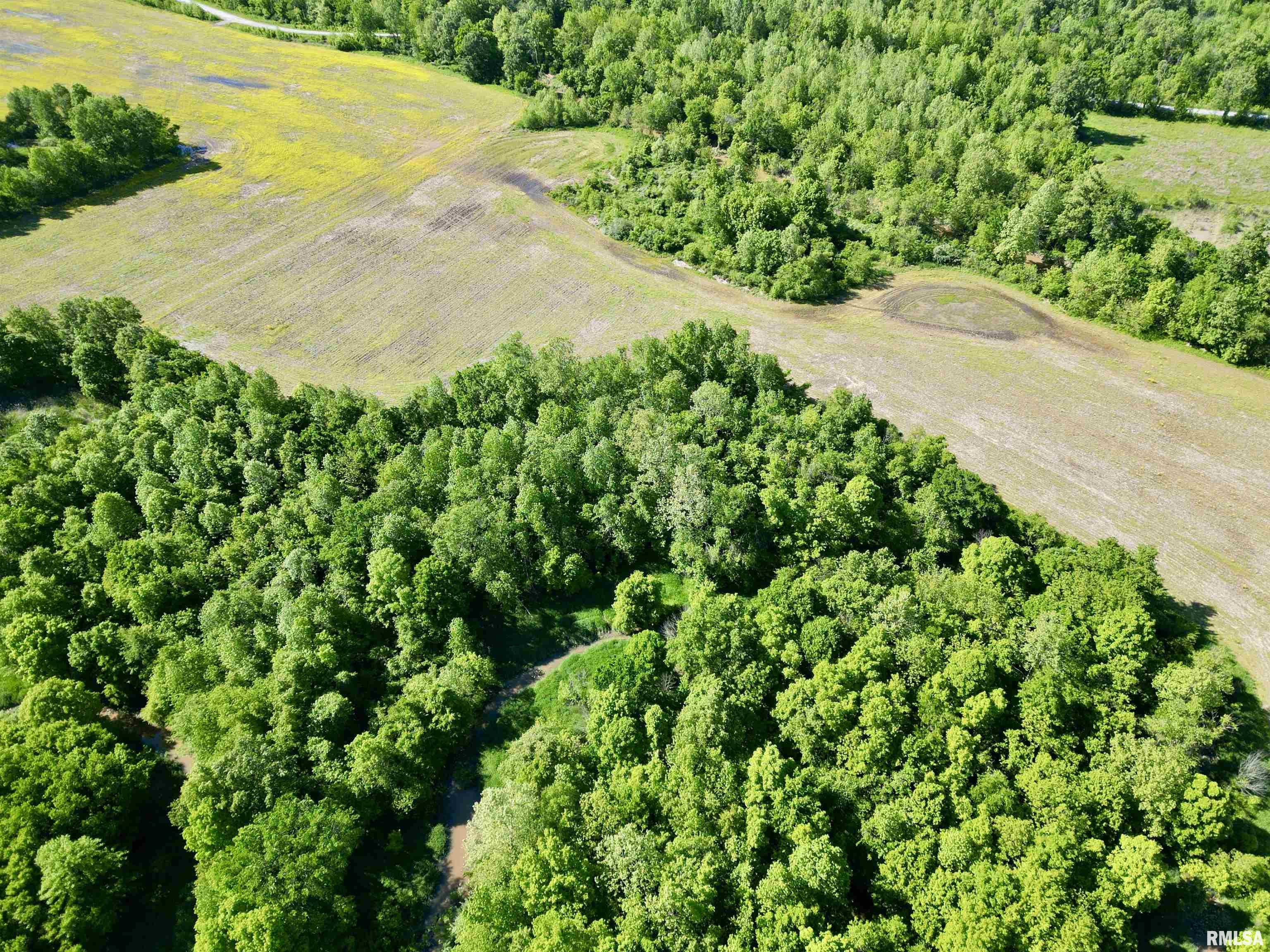 000 Netty Green Road, Galatia, Illinois image 11