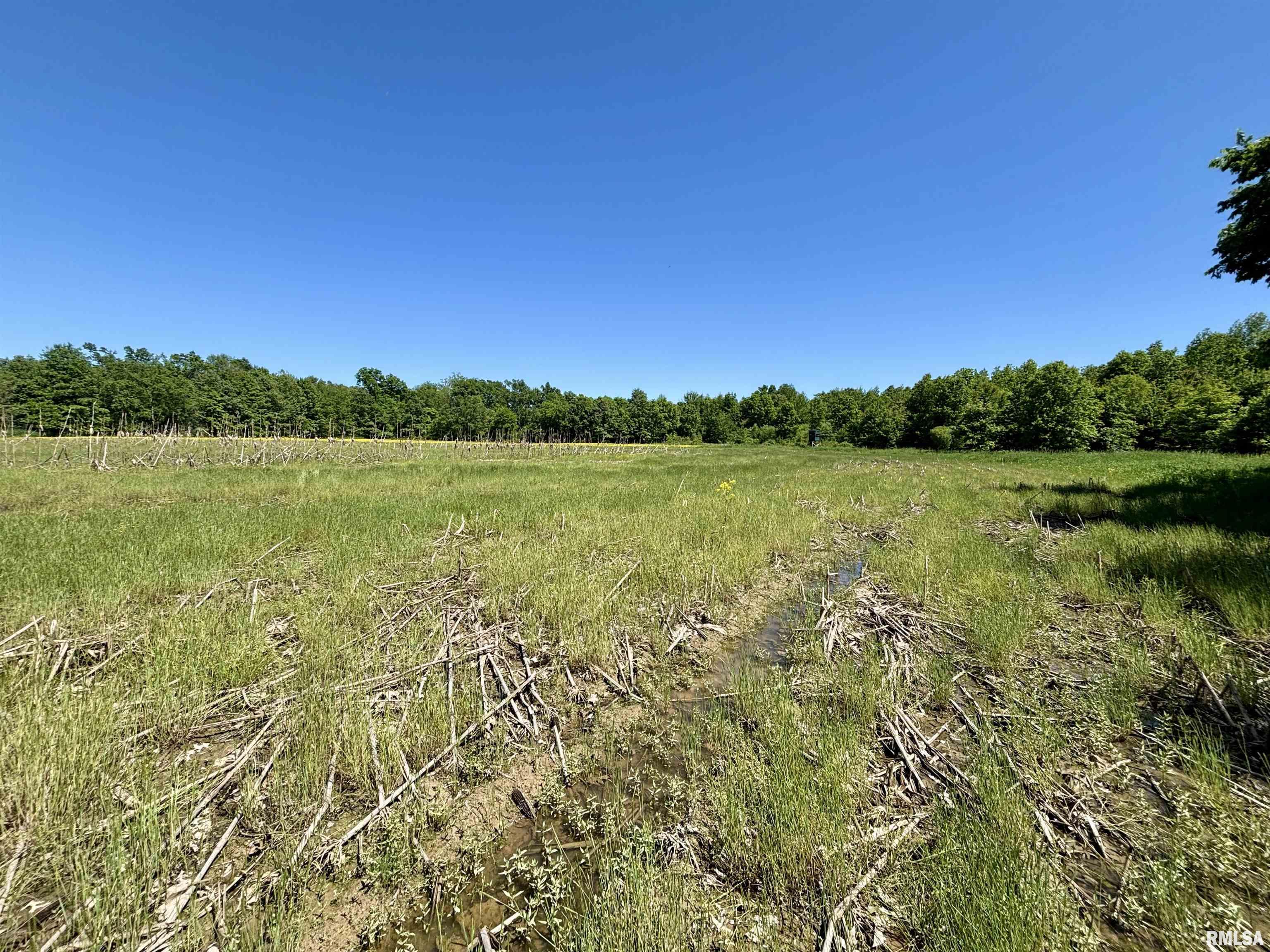 000 Netty Green Road, Galatia, Illinois image 19