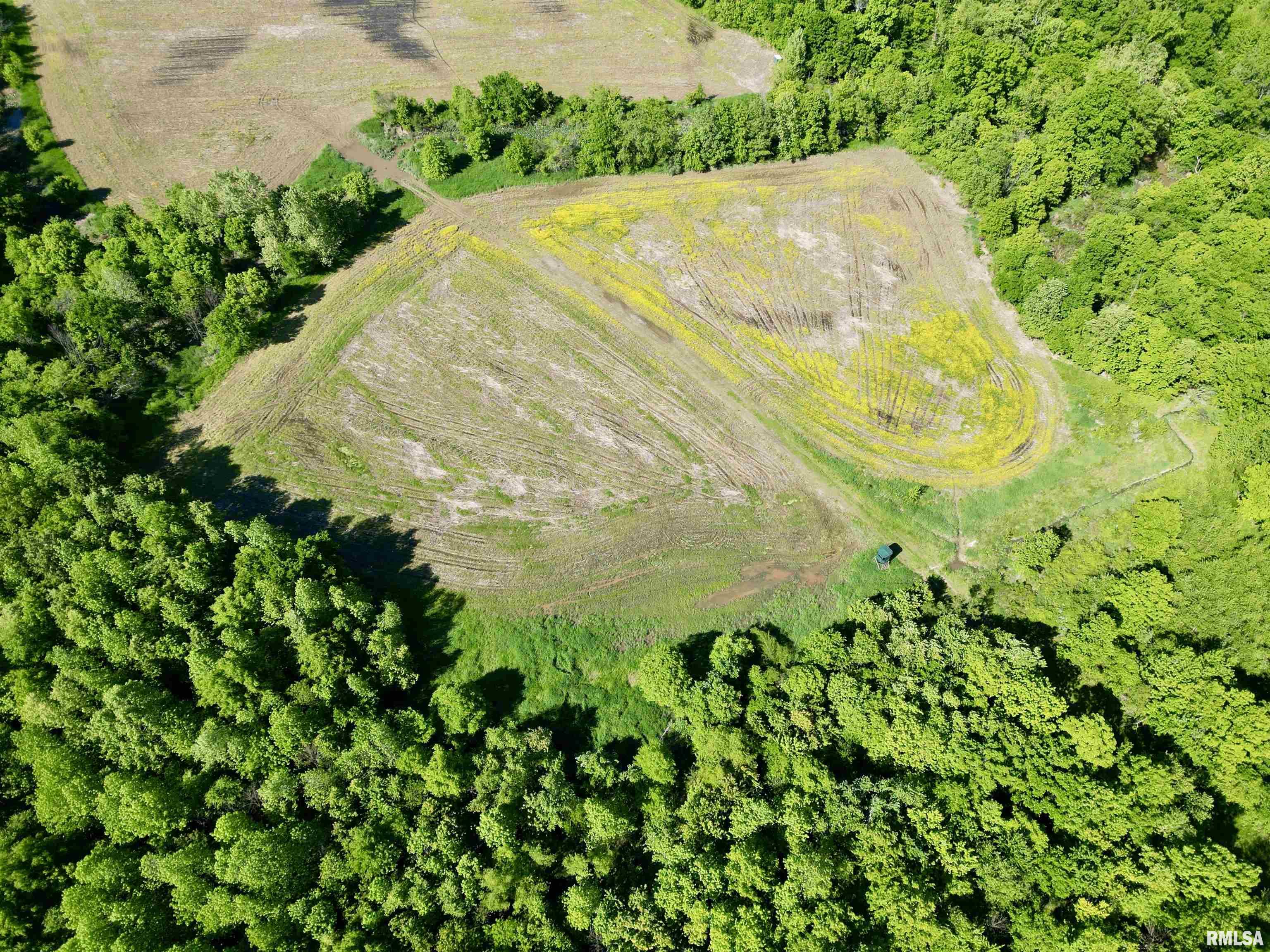 000 Netty Green Road, Galatia, Illinois image 14