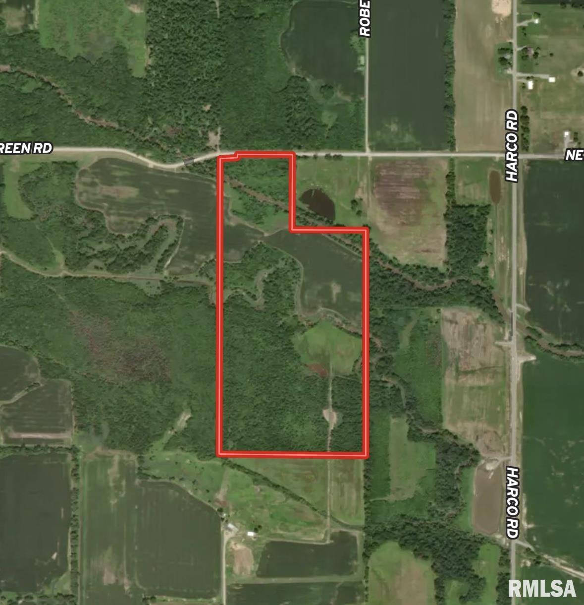 000 Netty Green Road, Galatia, Illinois image 23