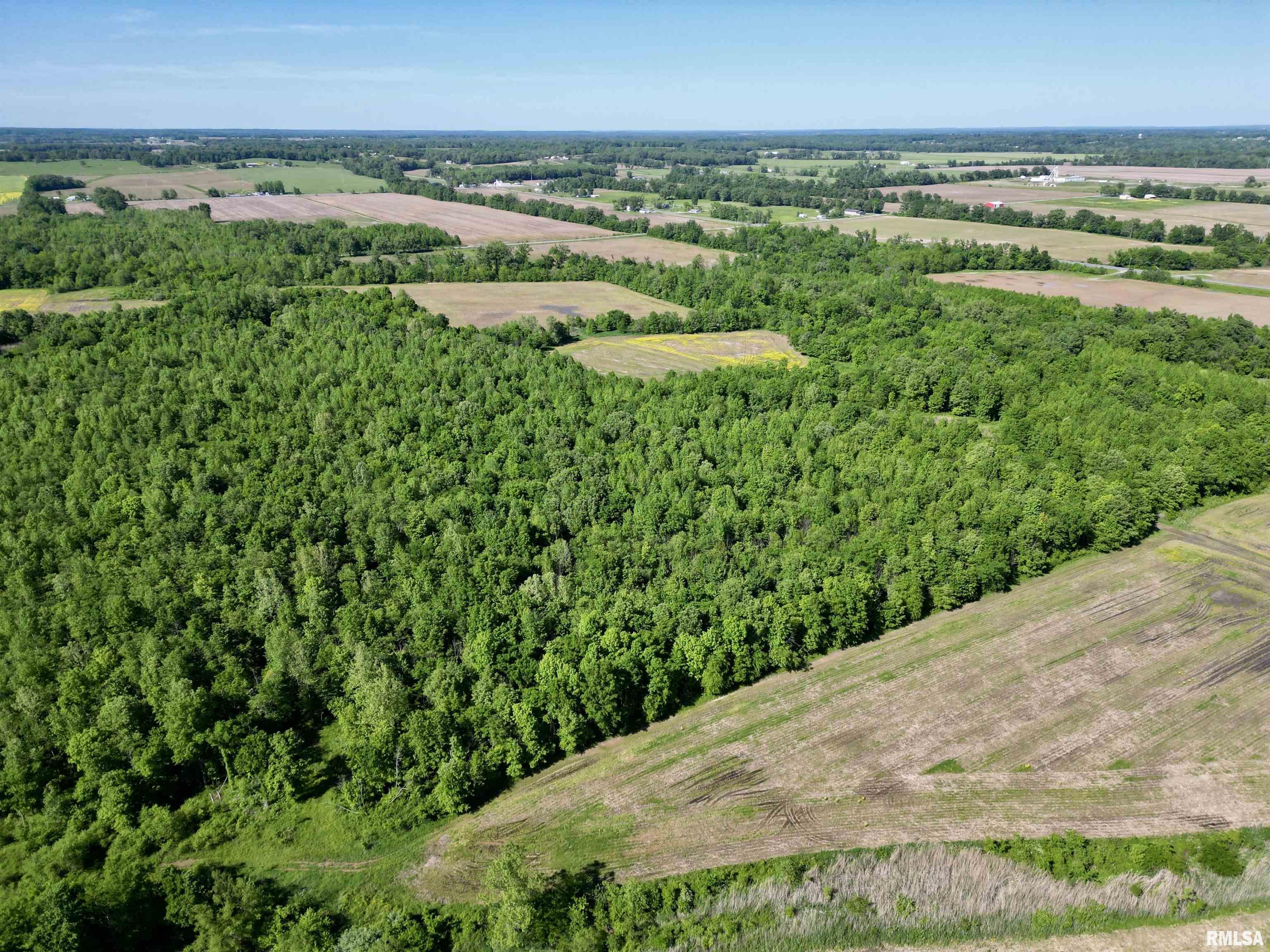 000 Netty Green Road, Galatia, Illinois image 3