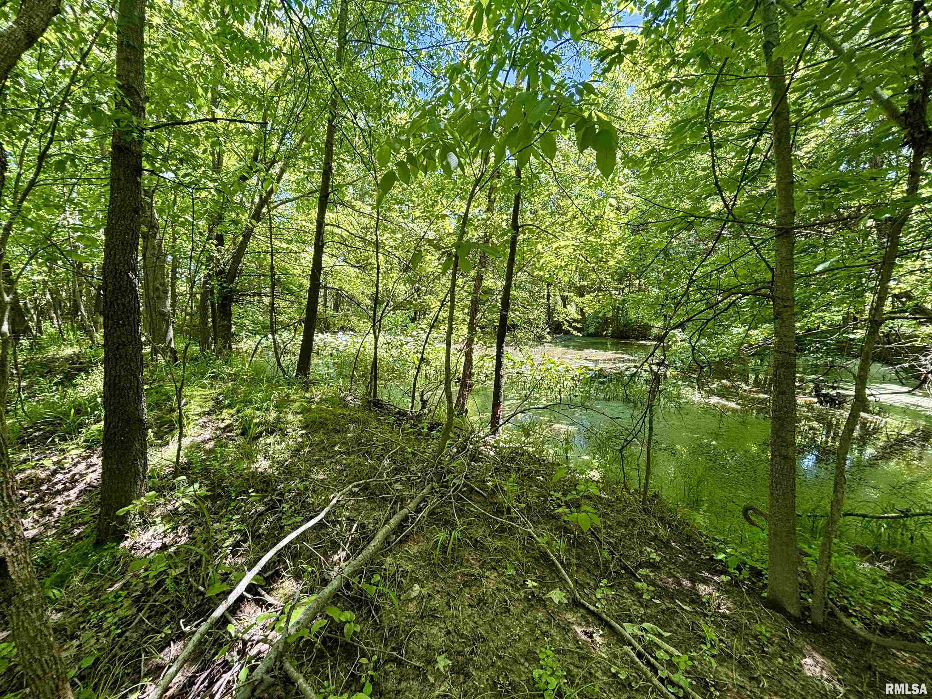 000 Netty Green Road, Galatia, Illinois image 16
