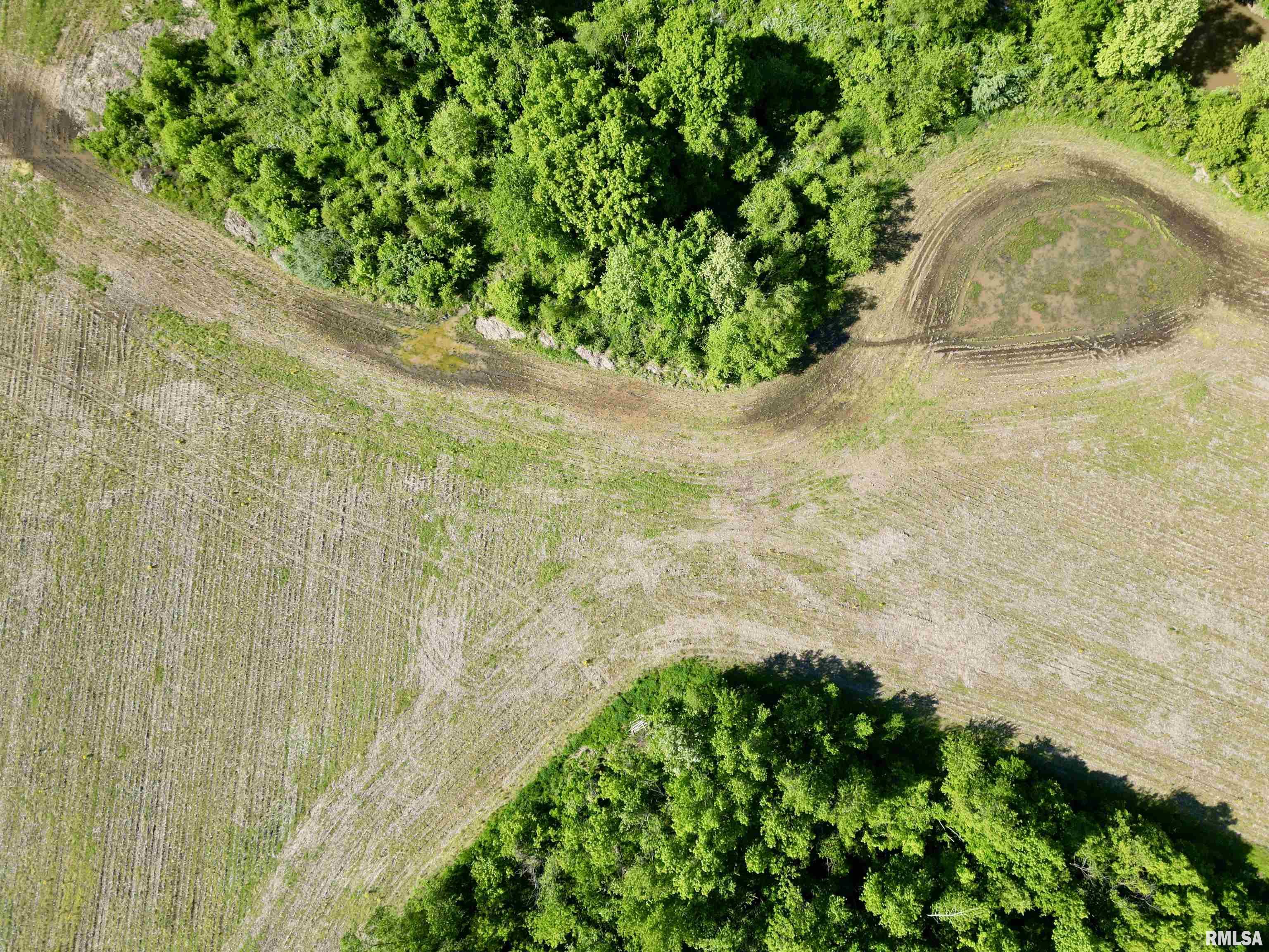 000 Netty Green Road, Galatia, Illinois image 13