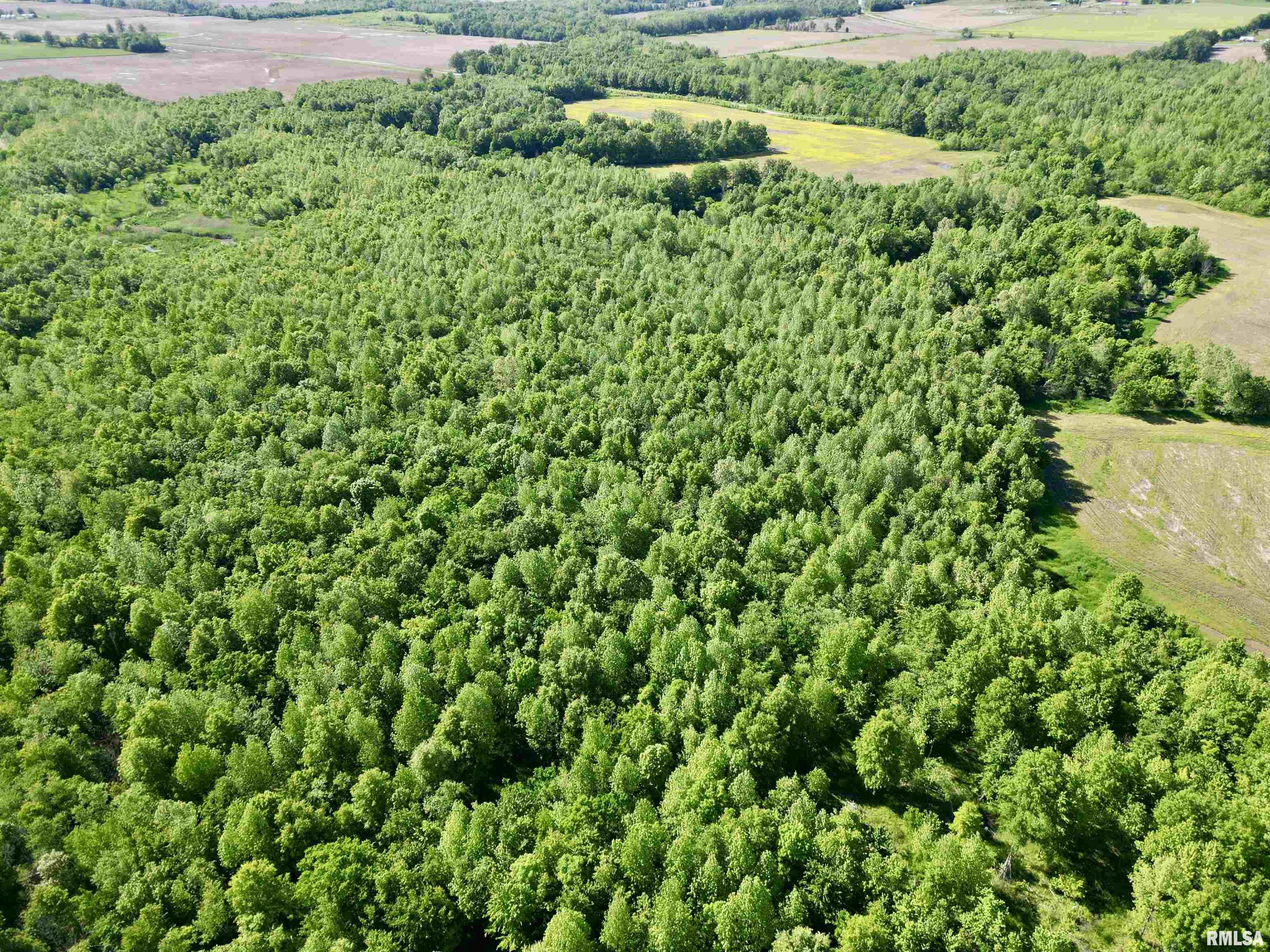 000 Netty Green Road, Galatia, Illinois image 9