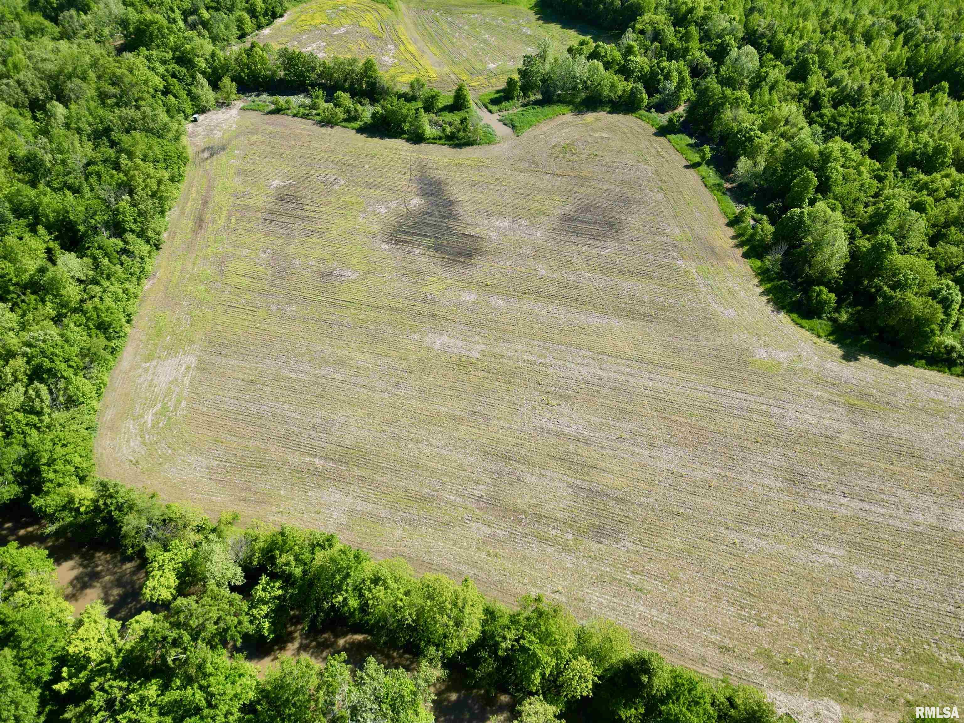 000 Netty Green Road, Galatia, Illinois image 12