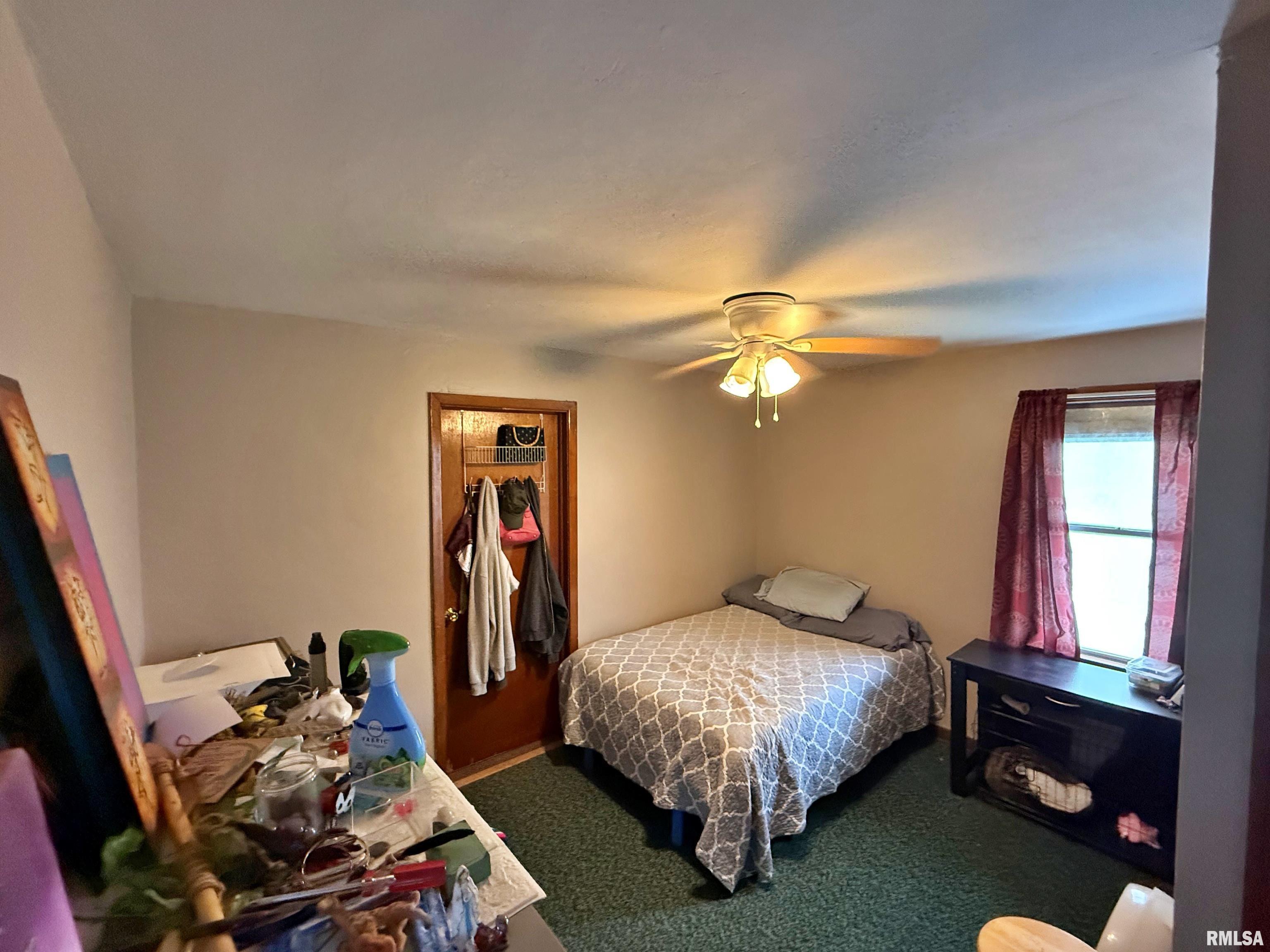 206 W 16th Street, Metropolis, Illinois image 30