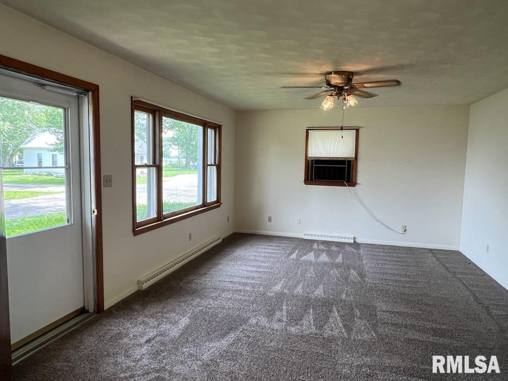 502 W Elm Street, Astoria, Illinois image 6