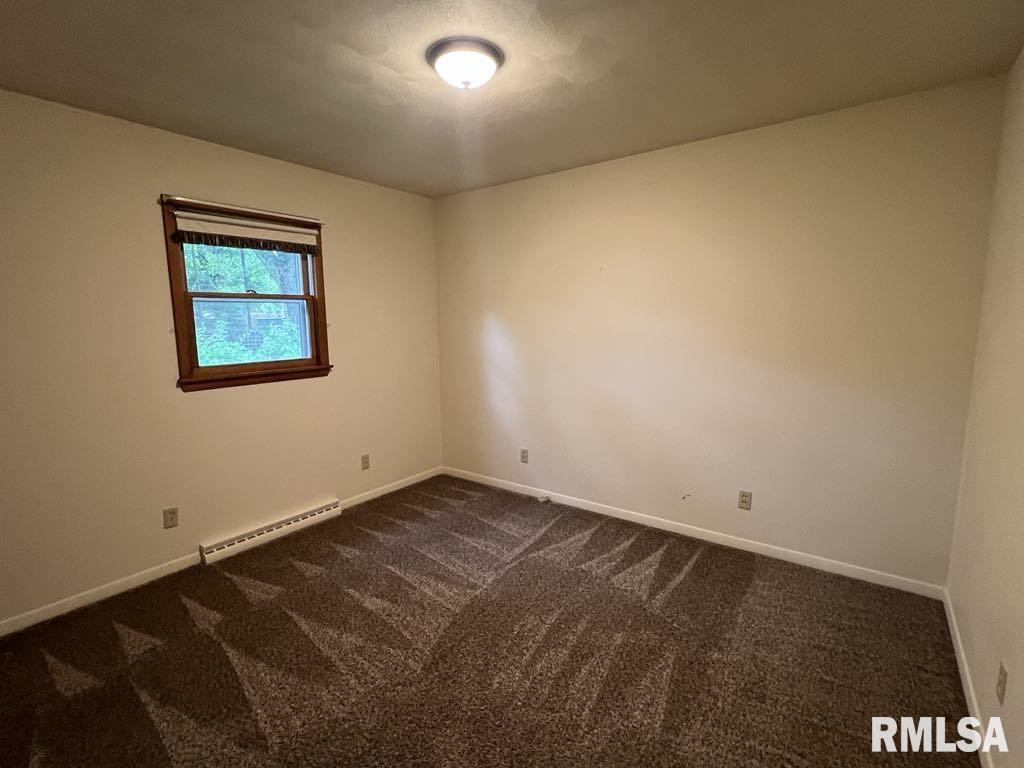 502 W Elm Street, Astoria, Illinois image 16