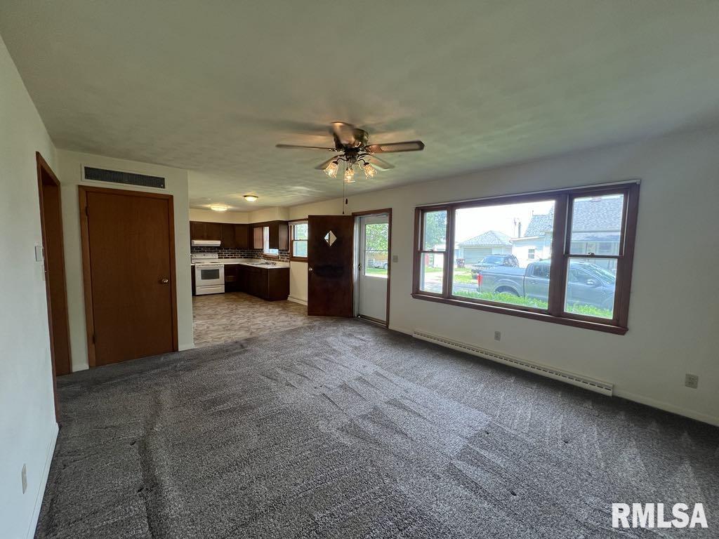 502 W Elm Street, Astoria, Illinois image 7