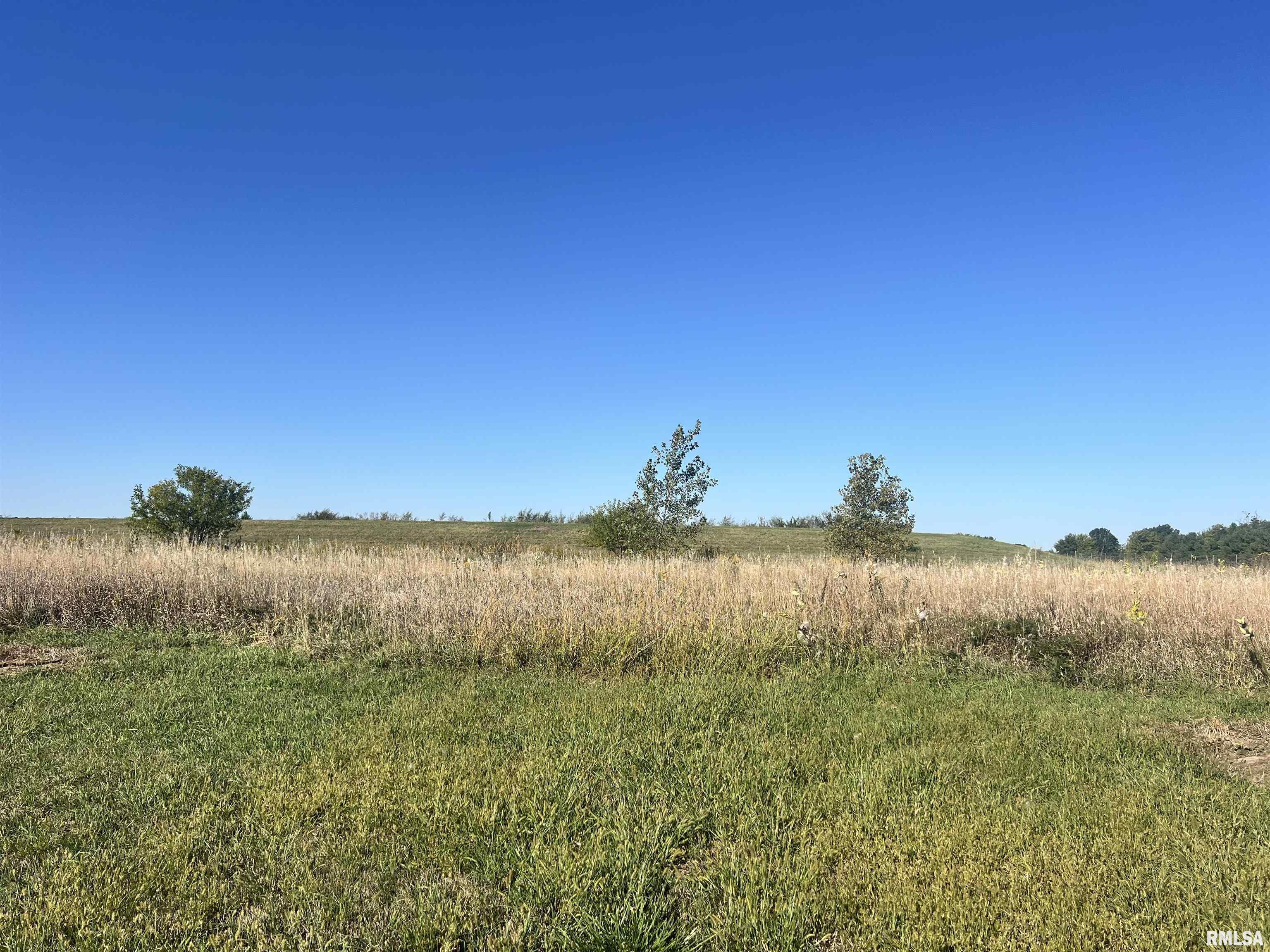 Lot 99 Brittany Court, Metamora, Illinois image 1